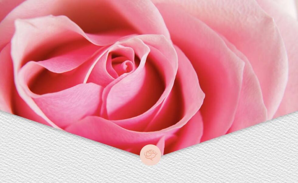 Szkolenia online, Coaching Rozkwitu