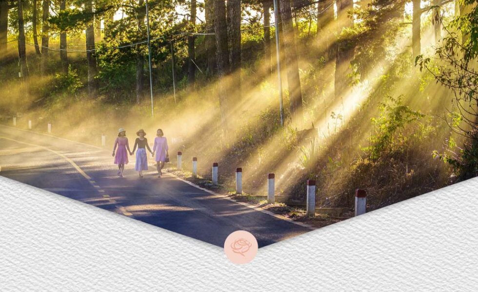 coaching online, Coaching Rozkwitu, na zdjeci osoby spacerujące w lesie